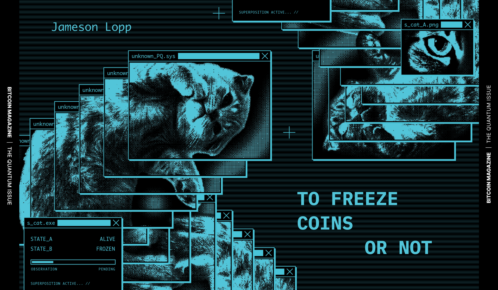 The Quantum Issue: To Freeze Coins Or Not