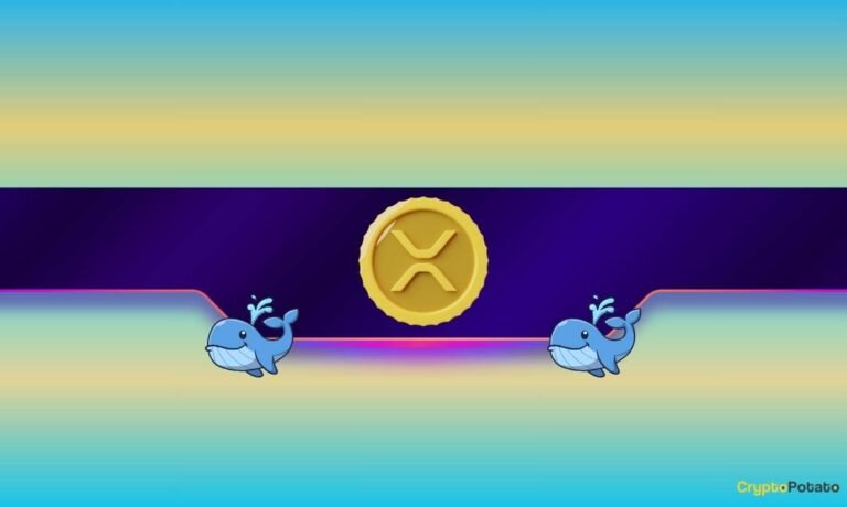 XRP Whales Keep Buying as Ripple Makes Big BlackRock-Related Announcement