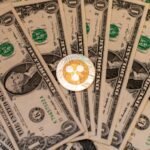 Ripple adds XRP payments to Stripe and Tempo’s AI standard in new developer kit