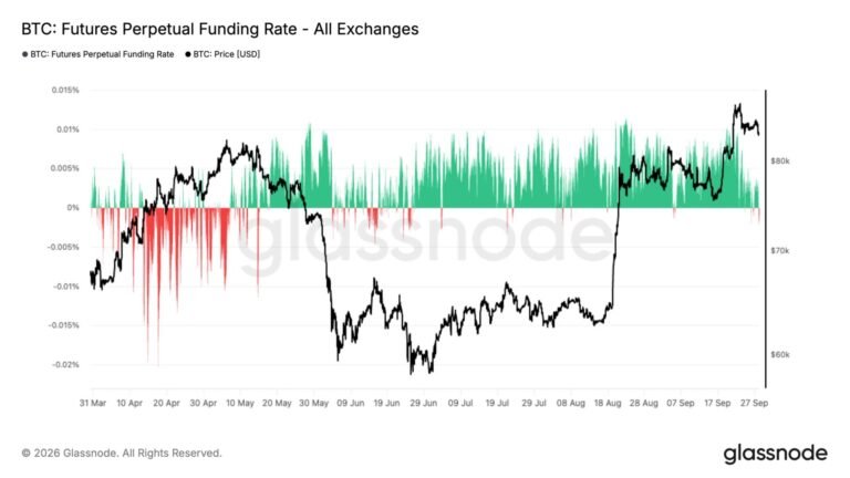 Bitcoin bears pay to bet on further declines as futures positions near yearly lows