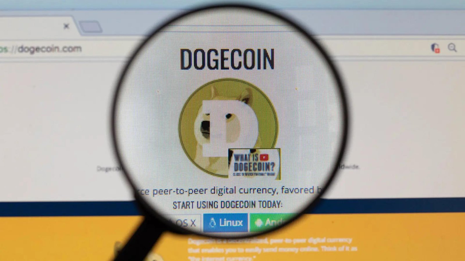 Dogecoin gets DeFi testnet as DogeOS bets miners will eventually secure its apps
