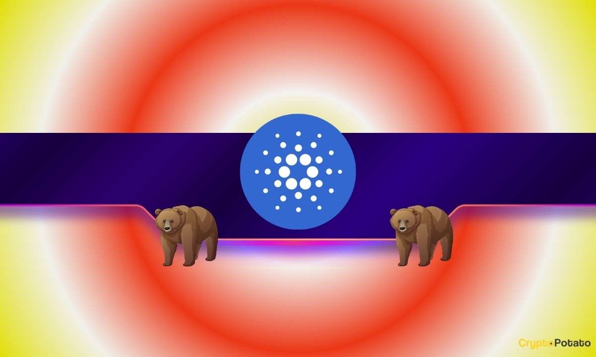 Why Is ADA’s Price Down 8% Today Even as Cardano Whales Wake Up?