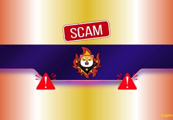 Critical Shiba Inu (SHIB) Warning: Here’s the Latest Threat