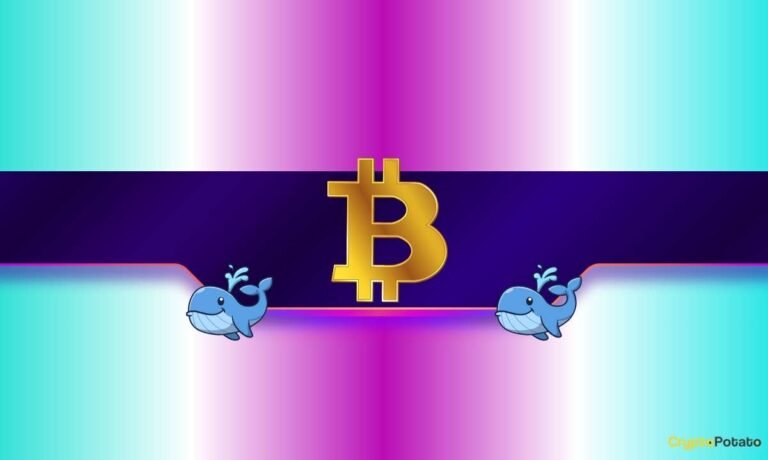 One Whale Lost Nearly $70M in ETH – Another Got Wrecked Long and Short