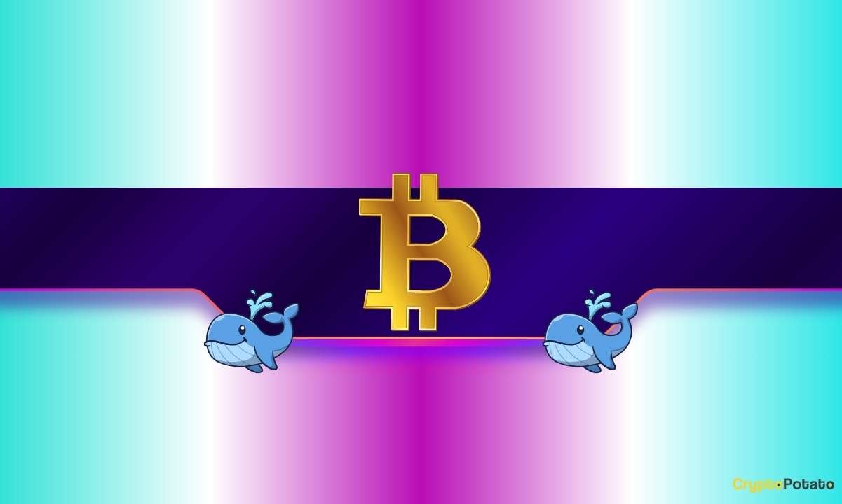 One Whale Lost Nearly $70M in ETH – Another Got Wrecked Long and Short